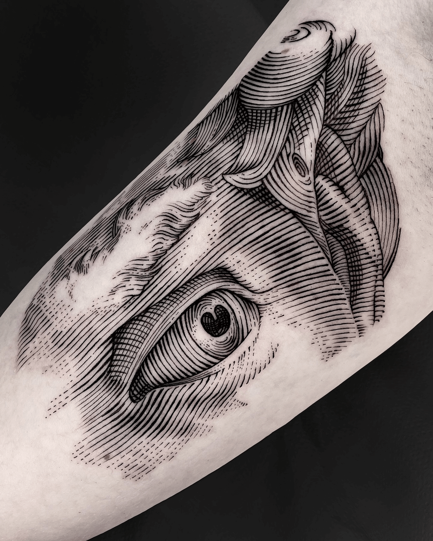 Artist Image